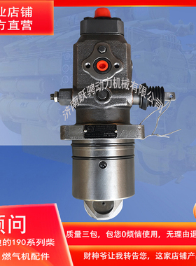 3000型单体柱塞喷油泵部件3012.12D.00B.A B4AG160A H济南12V190