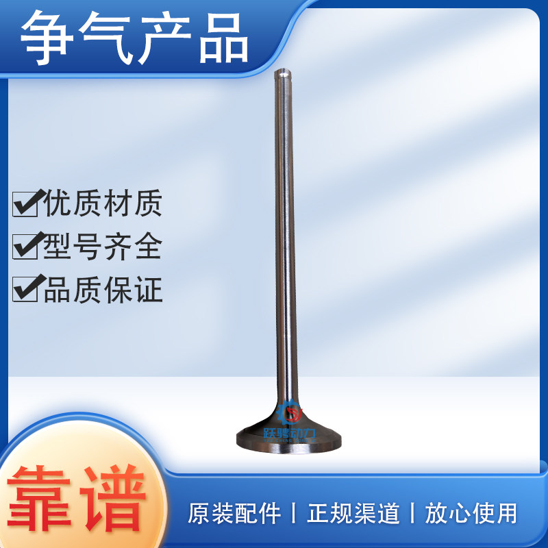 济柴190系列柴油机进气门