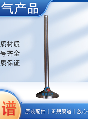 10821002济柴 h12v190zlcd a12v190pzl1 601.03.15.a进气阀门