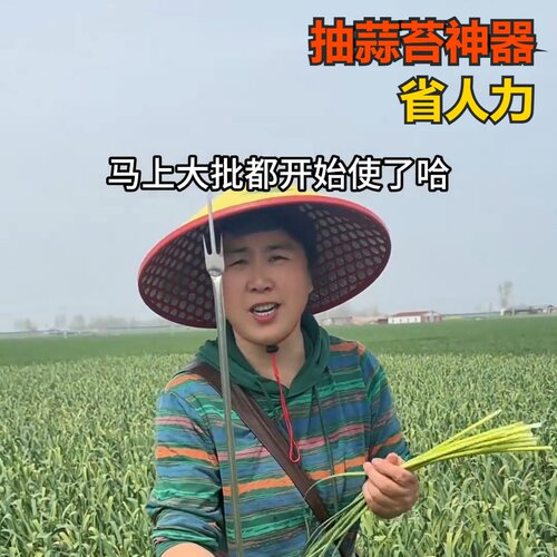 抽蒜苔神器大蒜小铲子不锈钢材质薹刀拔揪剥刮工具家用收割刀热销
