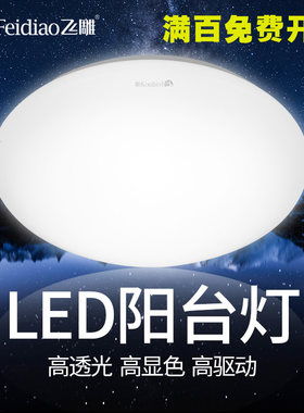 飞雕LED吸顶灯简约现代灯具圆形超薄卧室儿童房客厅卫生间厨房