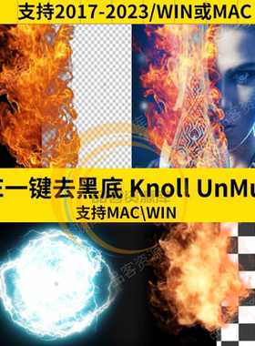 Knoll UnMult插件AE一键去黑底一键扣黑Alpha透明通道制作WIN/Mac