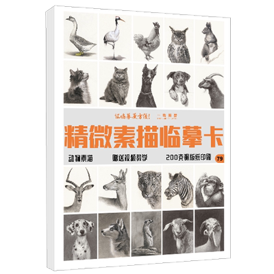 精微素描临摹卡动物 一线卡片高清素材练习画创意单体组合步骤结构国美初级高考入门照片狗狗基础书教材教学画册教程美术绘画猫猫
