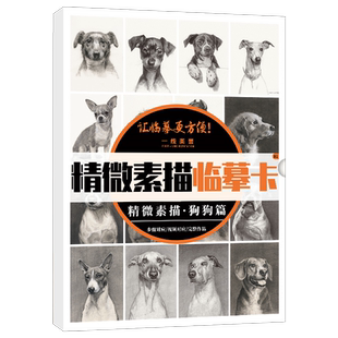 素描临摹卡精微狗狗篇 一线卡片高清素材练习画创意单体组合步骤结构国美初级高考入门照片动物基础教材教学画册教程美术绘画猫猫