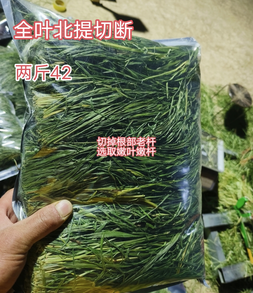 全叶北提除老杆留嫩叶嫩杆精装提摩西草段兔子龙猫猪干草饲料包邮