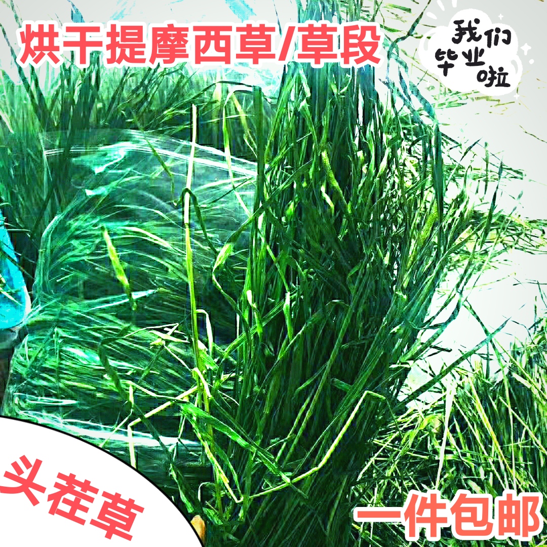 23年头茬新烘干提摩西草段兔子龙猫荷兰猪仓鼠干草牧草粮包邮