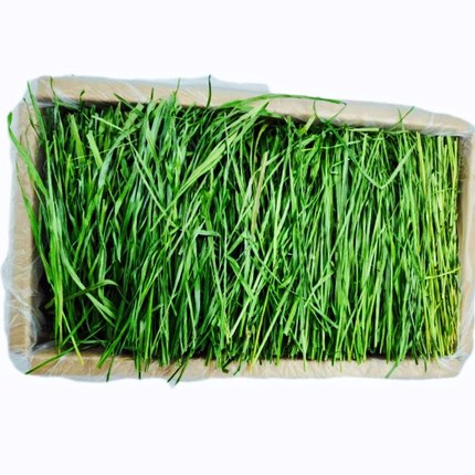 现货提摩西干草段叶多烘干5A箱装龙猫荷兰猪用品毛重两斤包邮