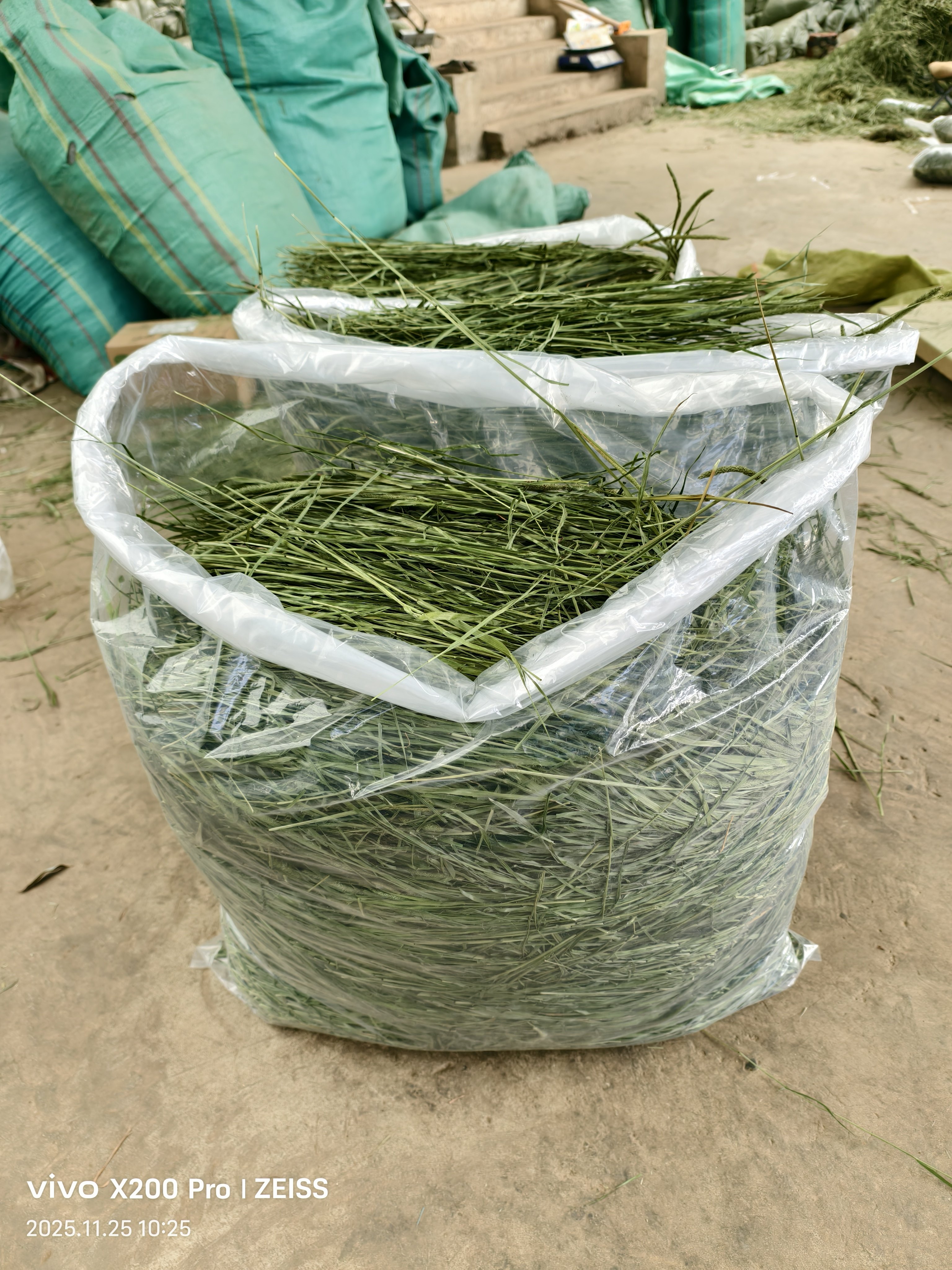 10斤装烘干提摩西草兔子龙猫荷兰猪羊驼干草饲料牧草包邮