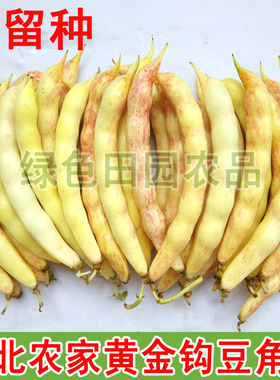 东北农家菜园弯勾黄油豆角籽 散装精选可留种黄金钩豆角籽50g