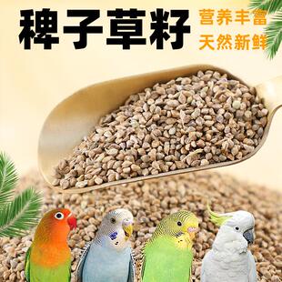 鸟食稗子草籽牡丹玄风虎皮新粮带壳草籽鹦鹉专用训鸟粮食鸟食饲料