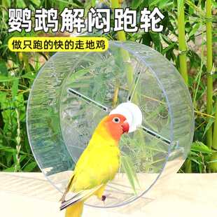 鹦鹉跑轮虎皮专用鸟笼配件大全牡丹益智锻炼攀爬训练玩具解闷1