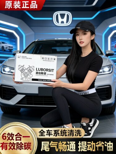 LUBORSIT（路伯斯德）燃油系统清净养护剂复合剂除积碳德国进口