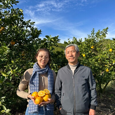 六年有机认证 秋之光赣南脐橙 山里的阳光味道 清甜多汁橙香满满