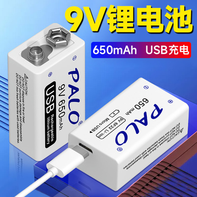 星威套装方块9伏6f22充电电池