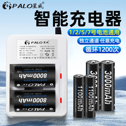 星威 1号电池充电器套装2节一号充电电池D型大号热水器燃气灶专用