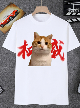 网红猫meme权威头像短袖男t恤女搞怪小猫抽象猫咪恶搞沙雕学生装