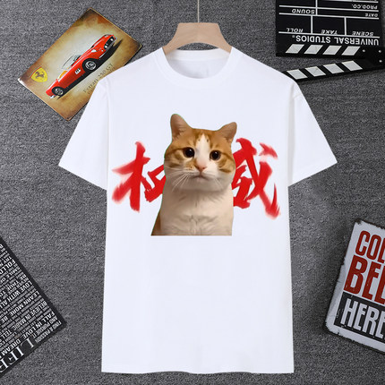 网红猫meme权威头像短袖男t恤女搞怪小猫抽象猫咪恶搞沙雕学生装