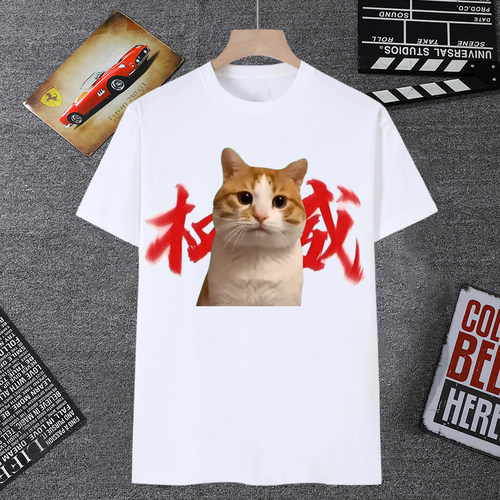 网红猫meme权威头像短袖抽象猫咪