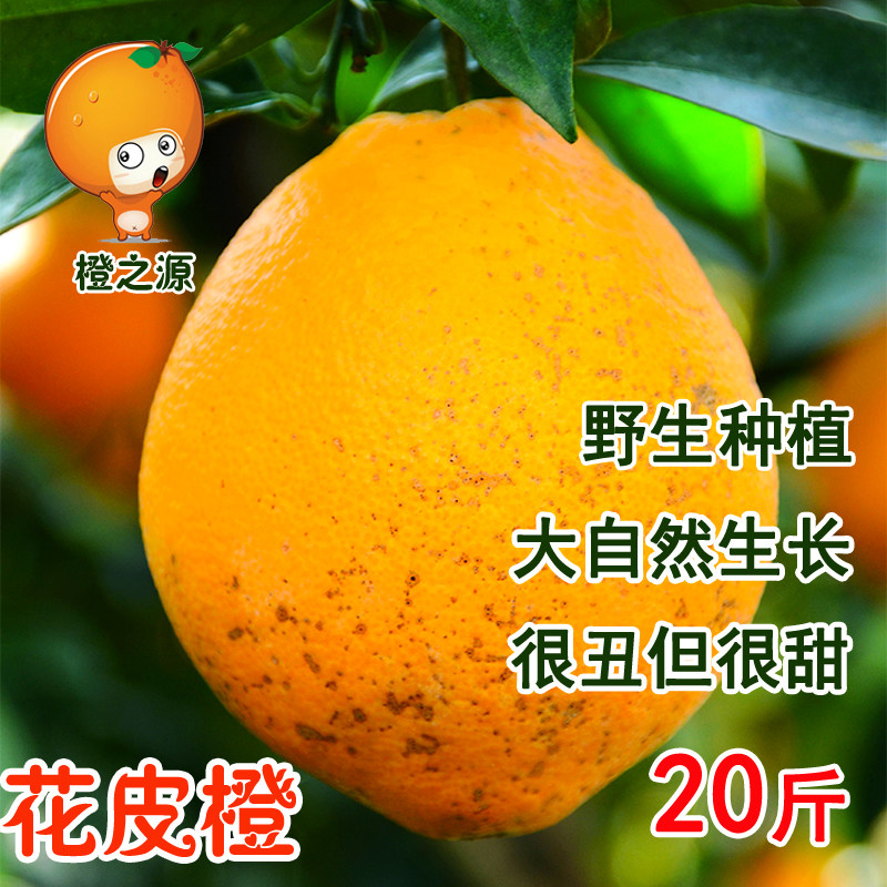 正宗寻乌赣南脐橙20斤花皮橙新鲜现摘水果赣州丑橙子榨汁专用甜橙,水产肉类/新鲜蔬果/熟食,橙,淘宝优惠券,粉丝福利购,淘宝优惠卷
