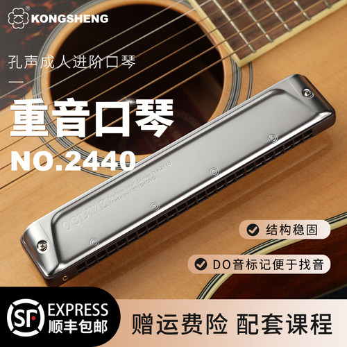 孔声24孔重音口琴专业演奏