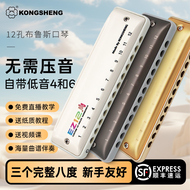 【无需压音】孔声12孔布鲁斯口琴全音阶孔声小金条新手进阶ez12