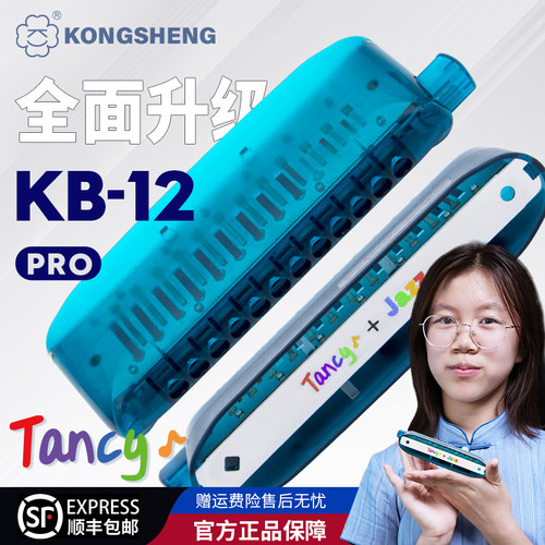 孔声Boogieman联名半音阶口琴