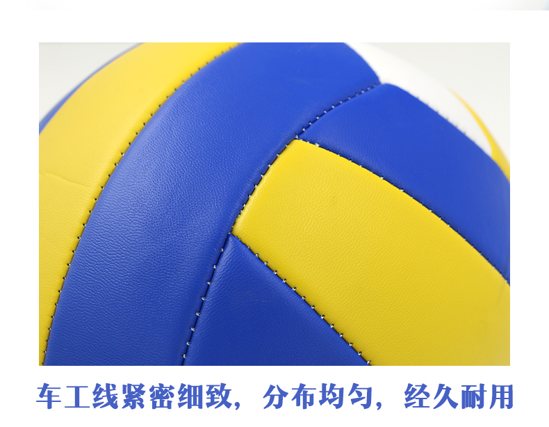 Ballon de volley-ball - Ref 2010416 Image 3