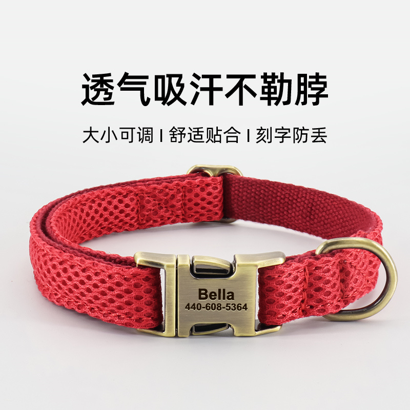 刻字防丢失狗脖圈遛狗绳狗项圈