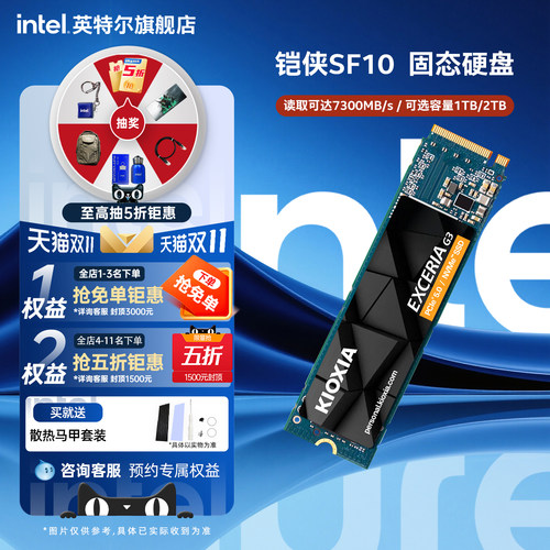 Kioxia铠侠SF10 系列1TB SSD固态硬盘M.2接口台式电脑笔记本硬盘