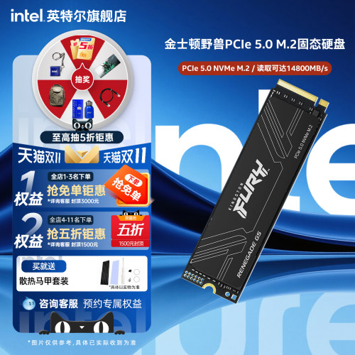 Kingston金士顿FURY野兽PCIE5.0固态硬盘1T/2TBM.2笔记本台式电脑