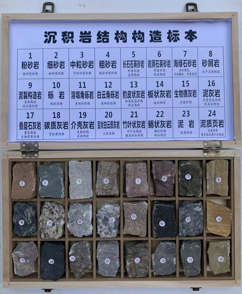 24种三大类沉积岩结构构造标本