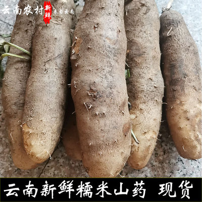 新鲜云南野生秤砣蔬菜糯米山药