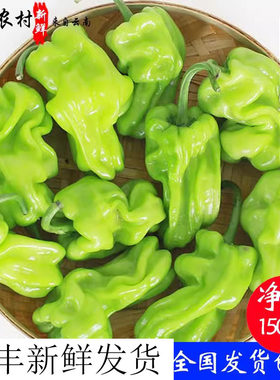 皱皮辣椒云南新鲜虎皮新鲜蔬菜
