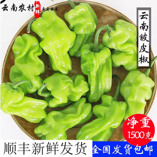 皱皮辣椒 云南新鲜虎皮辣椒青辣椒 辣味清脆新鲜蔬菜圆椒全国发货