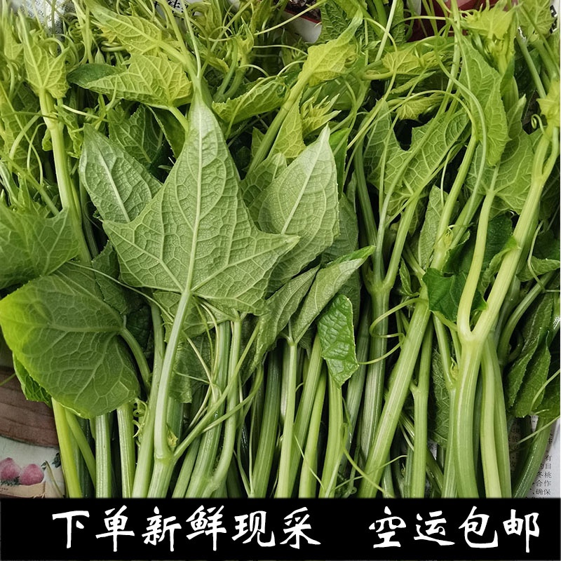 丝瓜尖新鲜蔬菜净重包邮