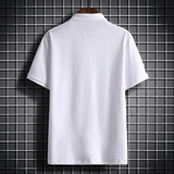 夏季主推纯短袖POLO衫男百搭潮牌绣花POLOPL20821-P38，男装Polo衫，星座217-4