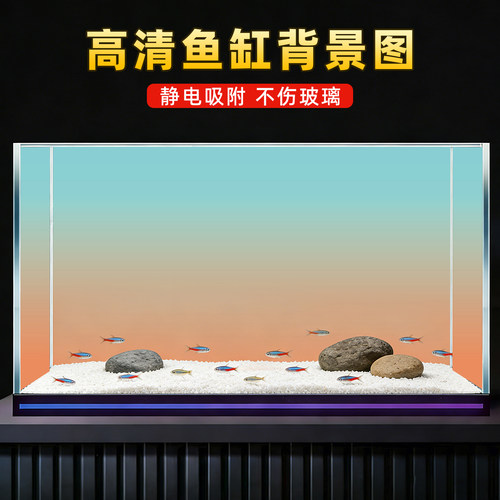 新款鱼缸渐变背景画3D立体背景板