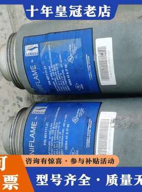 议价FORNEY美国福尼401111－21火检探头可维修