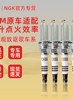 NGK适配观致357讴歌CDX ILX MDX NSX RDX RL RLX TL铱铂金火花塞