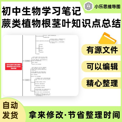 初中生物学习笔记蕨类植物根茎叶知识点总结思维导图Xmind笔记