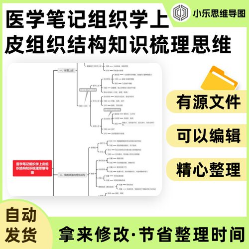 医学笔记组织学上皮组织结构知识梳理思维导图Xmind笔记制作电子
