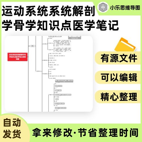 运动系统系统解剖学骨学知识点医学笔记思维导图Xmind笔记制作