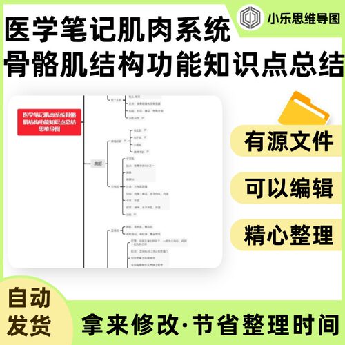 医学笔记肌肉系统骨骼肌结构功能知识点总结思维导图Xmind制作