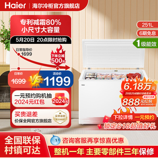 海尔251升冰柜家用小型商用全冷冻冷藏单温大容量冷柜卧式 小冰箱
