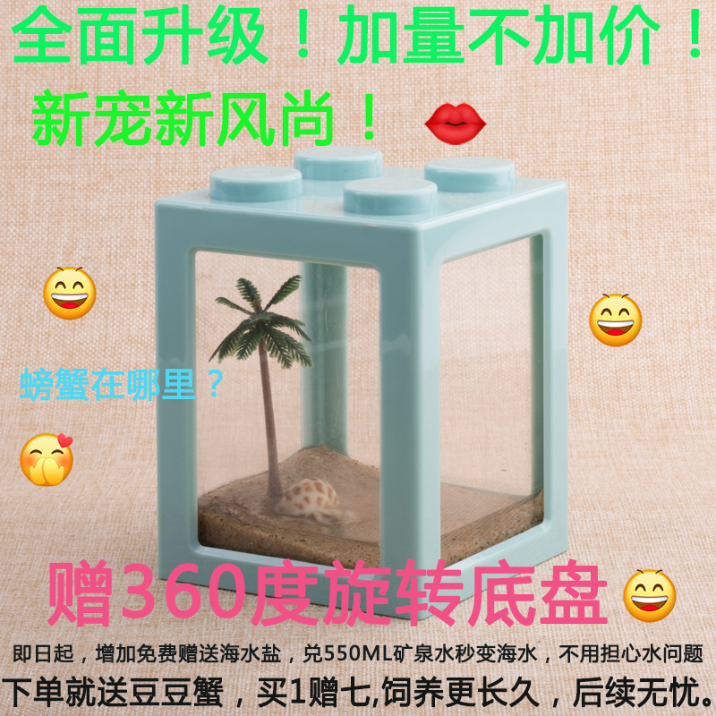 迷你豆豆可爱系喂食生态礼物造景