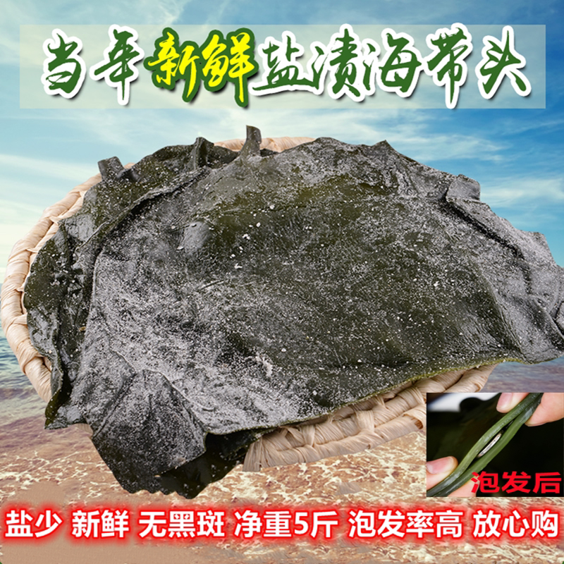 荣成新鲜盐渍厚海带头昆布海带根条丝火锅食材非干货5斤包邮盐少_虎窝淘