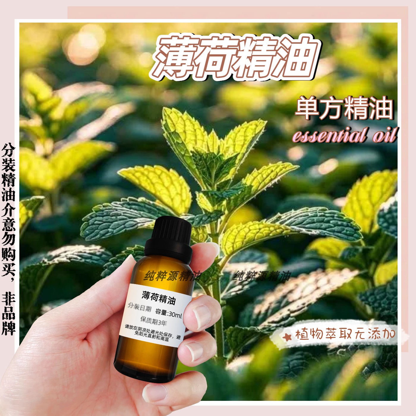 留兰香精油，留兰香单方精油护肤