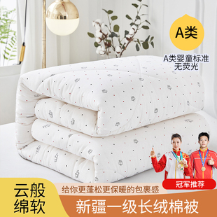 新疆长绒棉花被子棉被被芯棉絮绗缝冬季 纯棉全棉加厚保暖冬天