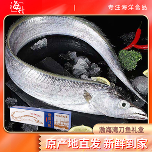 海朴大连渤海湾刀鱼海捕冰鲜整条带鱼冷冻海鲜水产节日礼盒Db