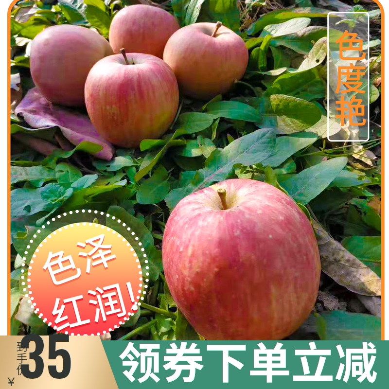 陕西苹果红富士当季新鲜水果包邮